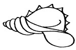 卡通海螺简笔画